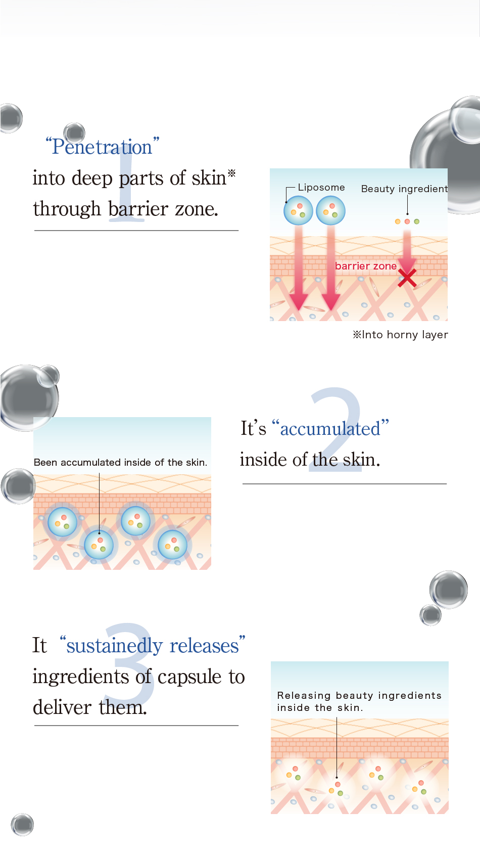 1バリアゾーンを通過して肌の奥※まで「浸透」リポソーム 美容成分 バリアゾーン 2肌内部に「貯蓄」されしっかり留まる 肌内部に貯蓄される 3カプセル内の成分を「除放」して届ける。肌内部で美容成分を放出
