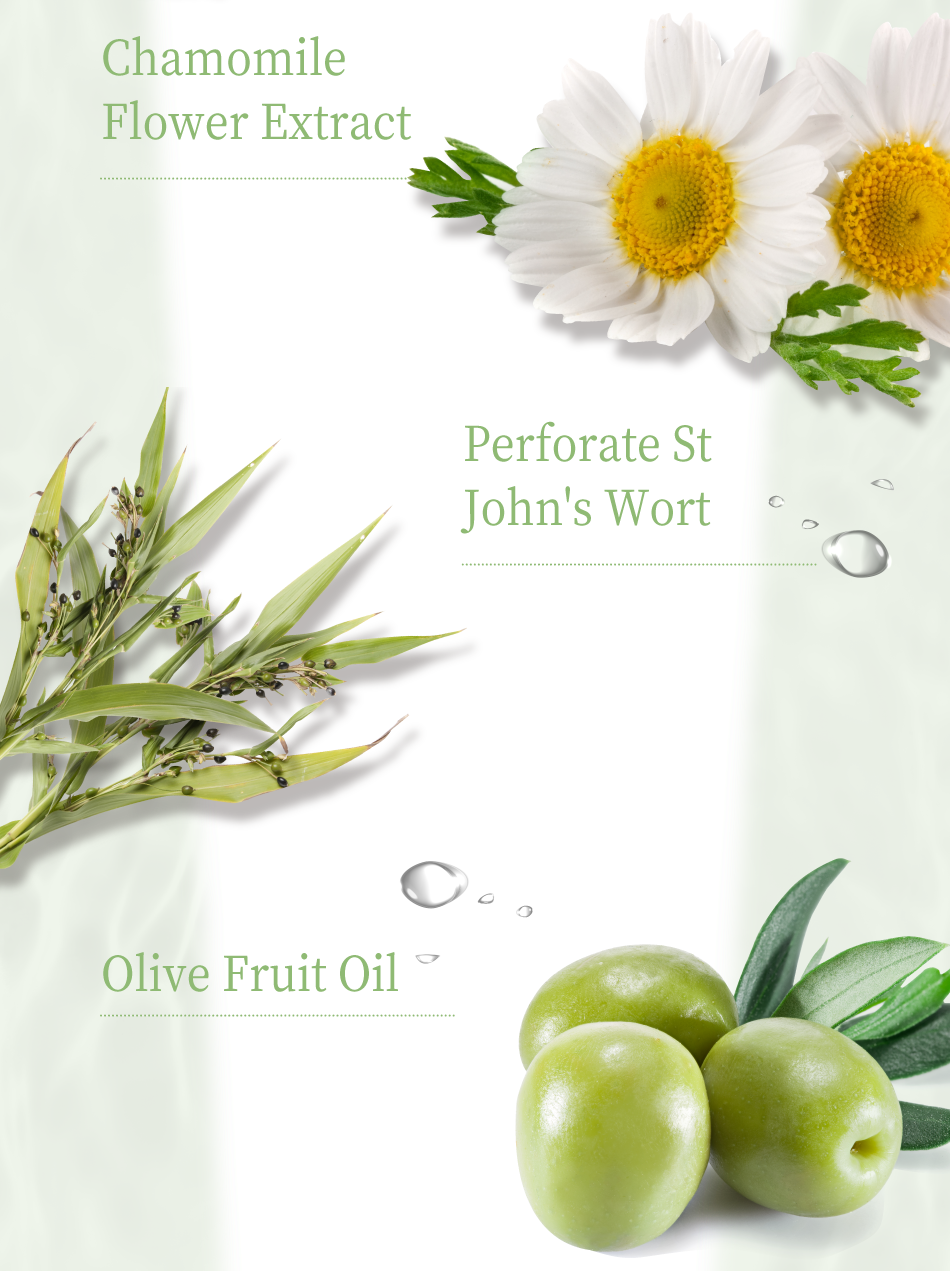 Chamomile Flower Extract Perforate St John's Wort Olive Fruit Oil