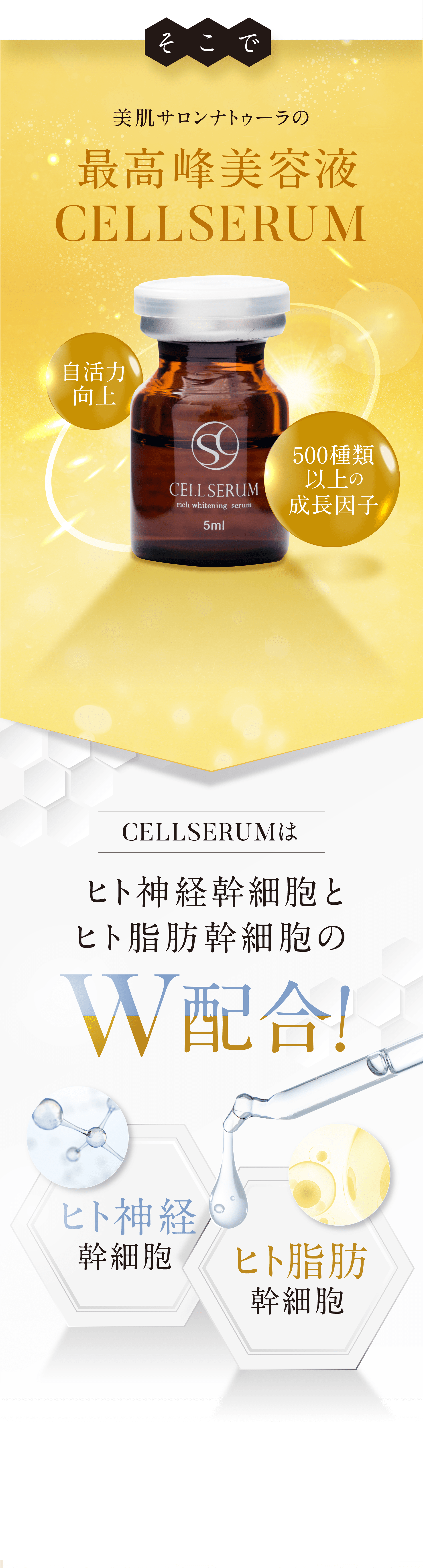 ゥーラの最高峰美容液 自活力 向上 500種類以上の成長因子 CELLSERUMは ヒト神経幹細胞とヒト脂肪幹細胞のW配合！ヒト神経幹細胞 ヒト脂肪幹細胞