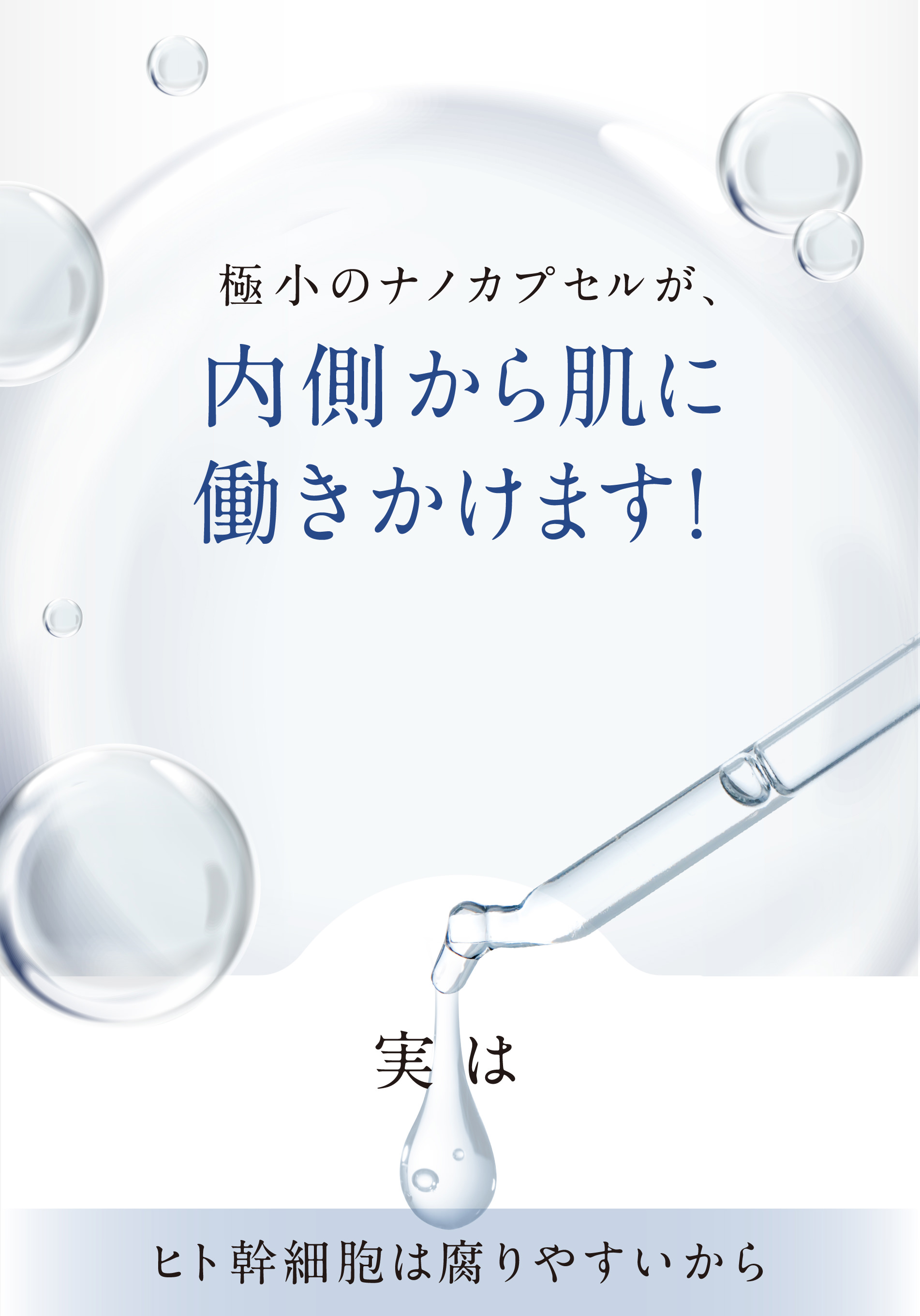 極小のナノカプセルが、内側から肌に働きかけます！ 実は ヒト幹細胞は腐りやすいから