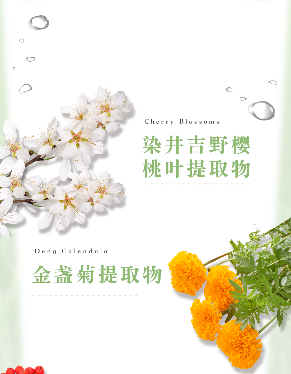 Cherry Blossoms 染井吉野樱桃叶提取物 Deng Calendula 金盏菊提取物