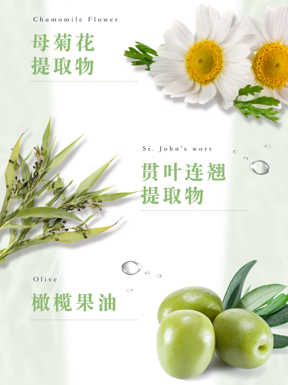 Chamomile Flower 母菊花提取物 St. John's wort 贯叶连翘提取物 Olive 橄榄果油